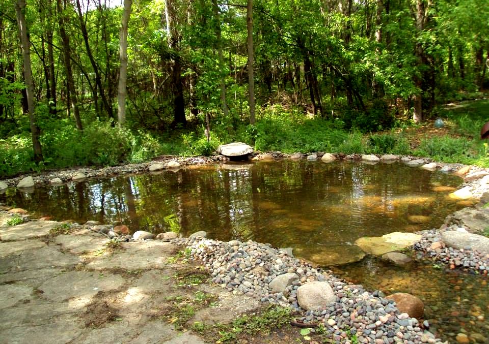 Natural pond with rock and boulder edging in a wooded yard